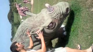 Video 2012 07 18 09 50 53