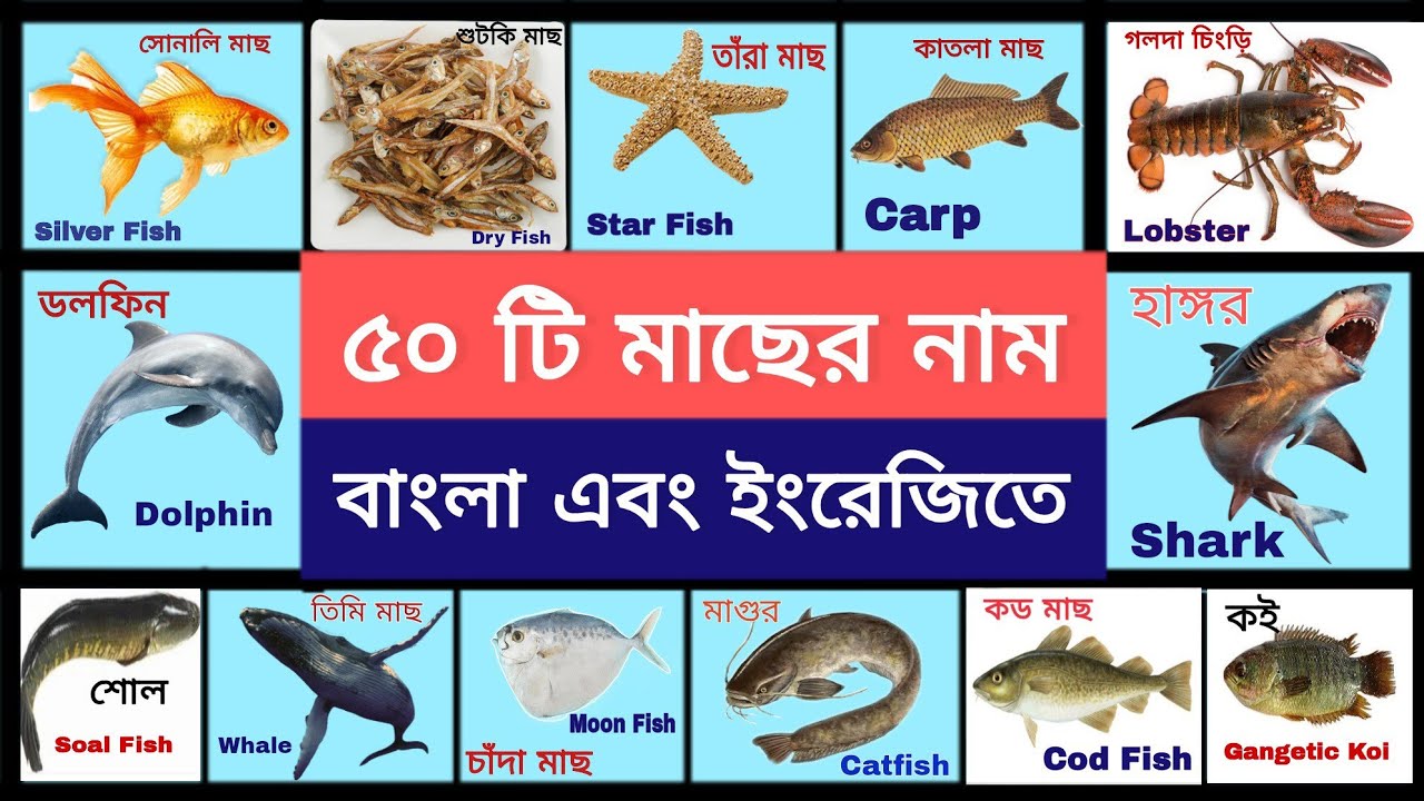 Names Of Fish In Bengali