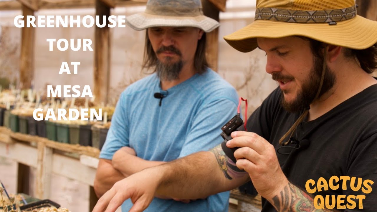 LEGENDARY #GREENHOUSE TOUR : Worlds rarest cactus collection