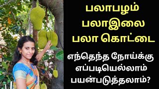 மாரடைப்பு, உயர் இரத்தஅழுத்தம் தடுக்கும் பழம்/Jackfruit benefits in tamil/ பலாபழம் நன்மைகள்