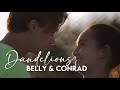 Belly & Conrad | Dandelions | The Summer I Turned Pretty