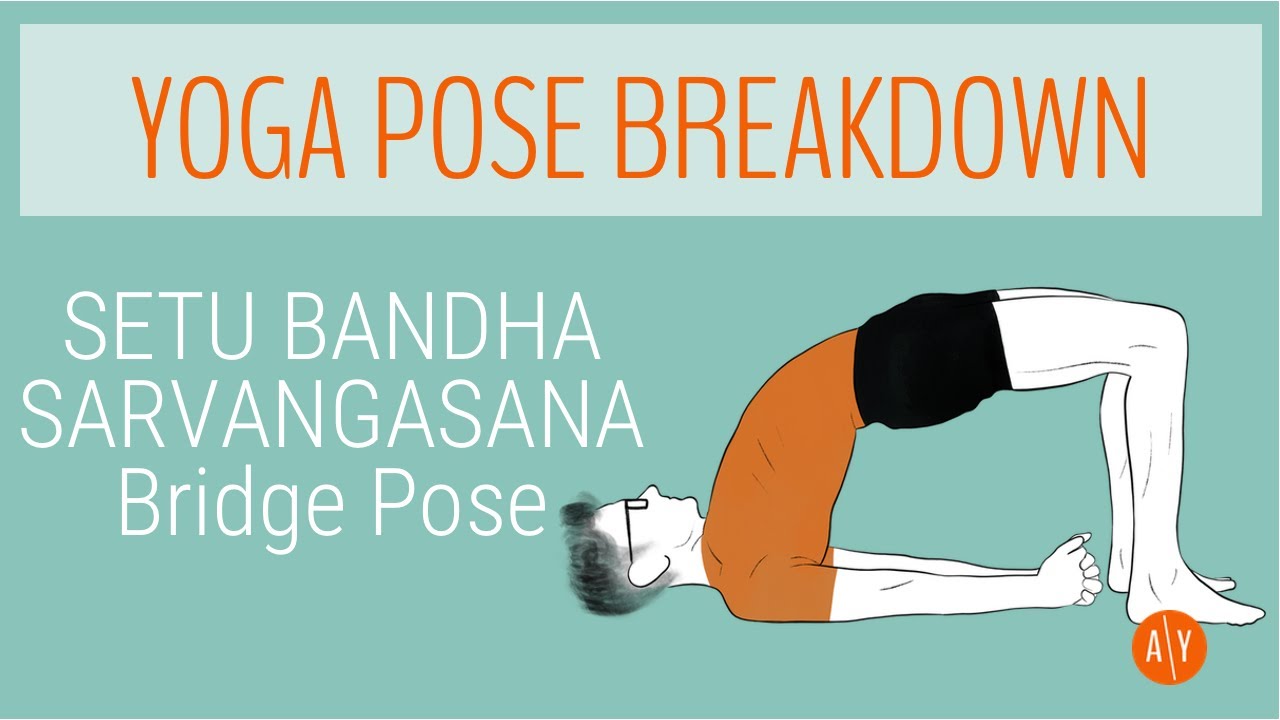 Bridge Pose (Setu Bandhasana) Dimensions & Drawings | Dimensions.com