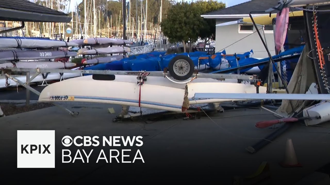 Cleaning up Storm Damage from Across the Bay Area - YouTube
