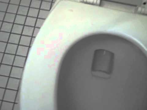 180: Newer American Standard Cadet Pressure Assist Toilet 2 - YouTube 180: Newer American Standard Cadet Pressure Assist Toilet 2 - YouTube