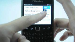 Blackberry Curve 9360: Turn off / on data services screenshot 4