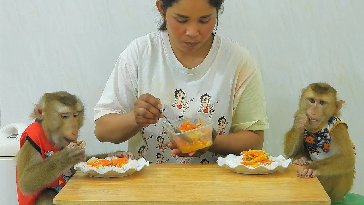 Favorite Food!! Little KAKO And OLLY Eating Rice With Stir Fried ...