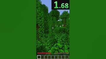 Speedrunning a random Minecraft item #shorts