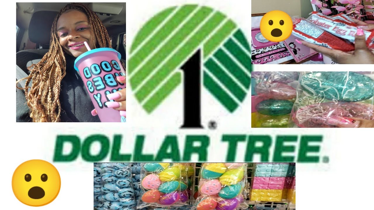 DOLLAR TREE BRAND NEW ITEMS WEEKLY HAUL YouTube