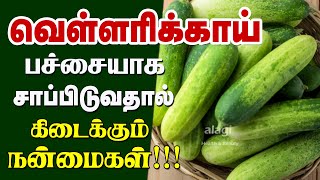 வெள்ளரிக்காய் மருத்துவ பயன்கள் | Top 7  health benefits of cucumber in Tamil - Tamil Health Tips