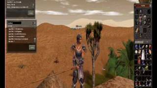Metin2 - Bug