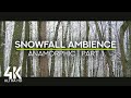 Calming Ambience of the Falling Snow - 4K Anamorphic Video of Forest Snowfall - Part 1