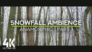 Calming Ambience of the Falling Snow - 4K Anamorphic Video of Forest Snowfall - Part 1