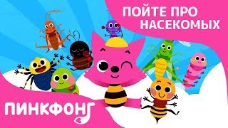 Насекомые | Песни про насекомых | Пинкфонг песни для детей