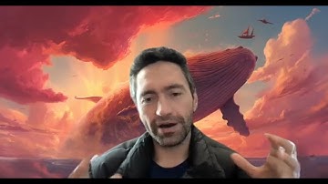 Is Elm Dead? 💀 Discover the programming language