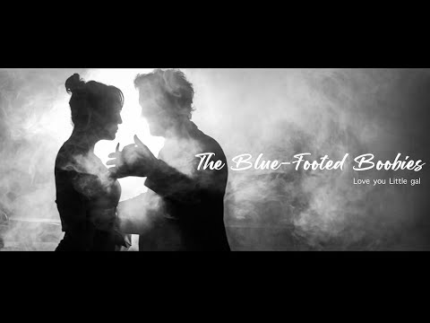 The Blue Footed Boobies - LOVE YOU LITTLE GAL [CLIP OFFICIEL]