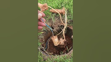 2 wire irrigation problem