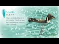 The Lonely Penguin's Journey Quiz
