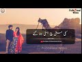 Nasha Sajna Da Honda A | Wajid Ali Baghdadi | Love Sad WhatsApp Status | Professional Writes | Whatsapp Status Video Download Free