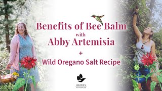 Benefits of Bee Balm with Abby Artemisia + Bee Balm Salt Recipe