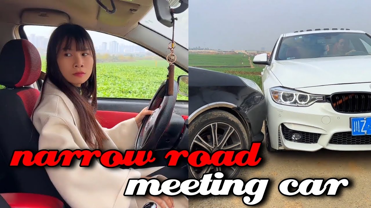 Navigating Narrow Roads: Overcoming Obstacles with Skill#12