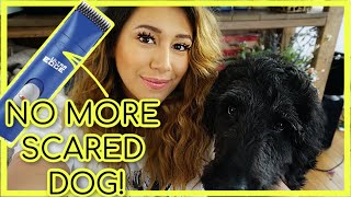 HOW TO GET YOUR DOG USED TO THE DOG CLIPPERS | GOLDENDOODLE