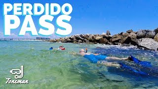 Snorkeling at Perdido Pass in Orange Beach | Crab Takes a Tumble!