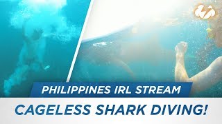 Cageless Shark Diving!