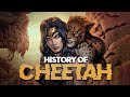 History of Cheetah