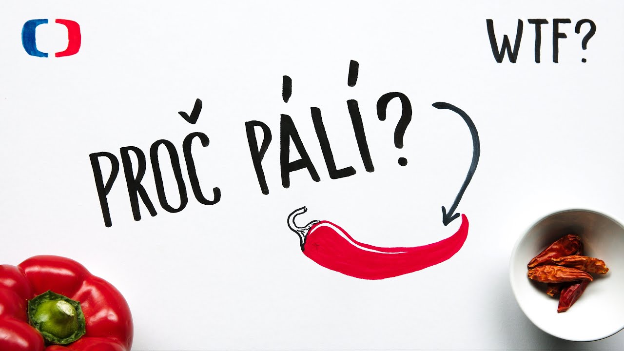 Proč některá jídla pálí? | What the Fact?