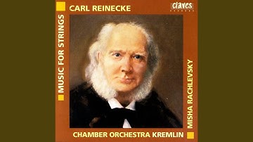 Serenade in G Minor for String Orchestra, Op. 242: I. Marcia: Molto moderato