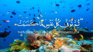 واتقوا يوما ترجعون فيه إلي الله حالات واتس قرآن كريم للشيخ خالد الجليل