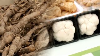 춘곤증 물렀거라~ 건강 식재료 다 모였다! @SBS 생활경제 2316회 20160414