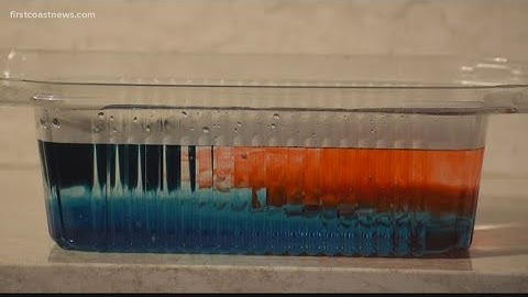 Science Experiment: What makes a thunderstorm?