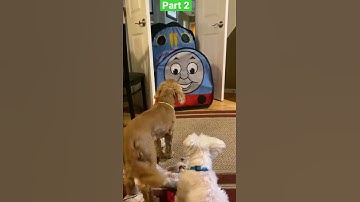 Thumbnail of Part 2 of the pups train