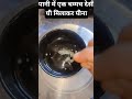 पानी में एक चम्मच देसी घी मिलाकर पीना#trendingshorts #youtubeshorts #shorts #viralshorts #viralreels