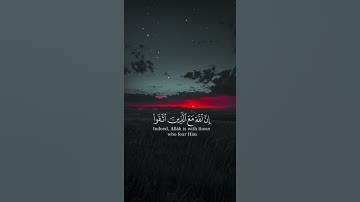 قران || علي جابر #اكسبلور #اجر_لي_ولك #راحة_نفسية #تلاوة_خاشعة #دويتو #قران #لايك #حالات_واتس