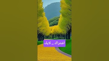 أجمل صوت قرآن# #yasseraldossary  #قرآن #تلاوات #quran #اكسبلور #تلاوة_خاشعة #قرآن_كريم #duet