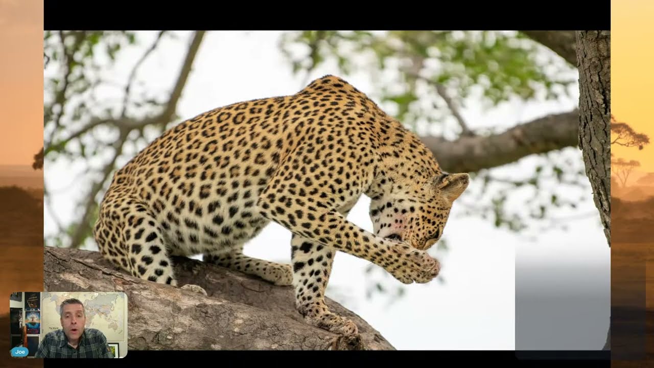 Exploring the Greater Kruger National Park