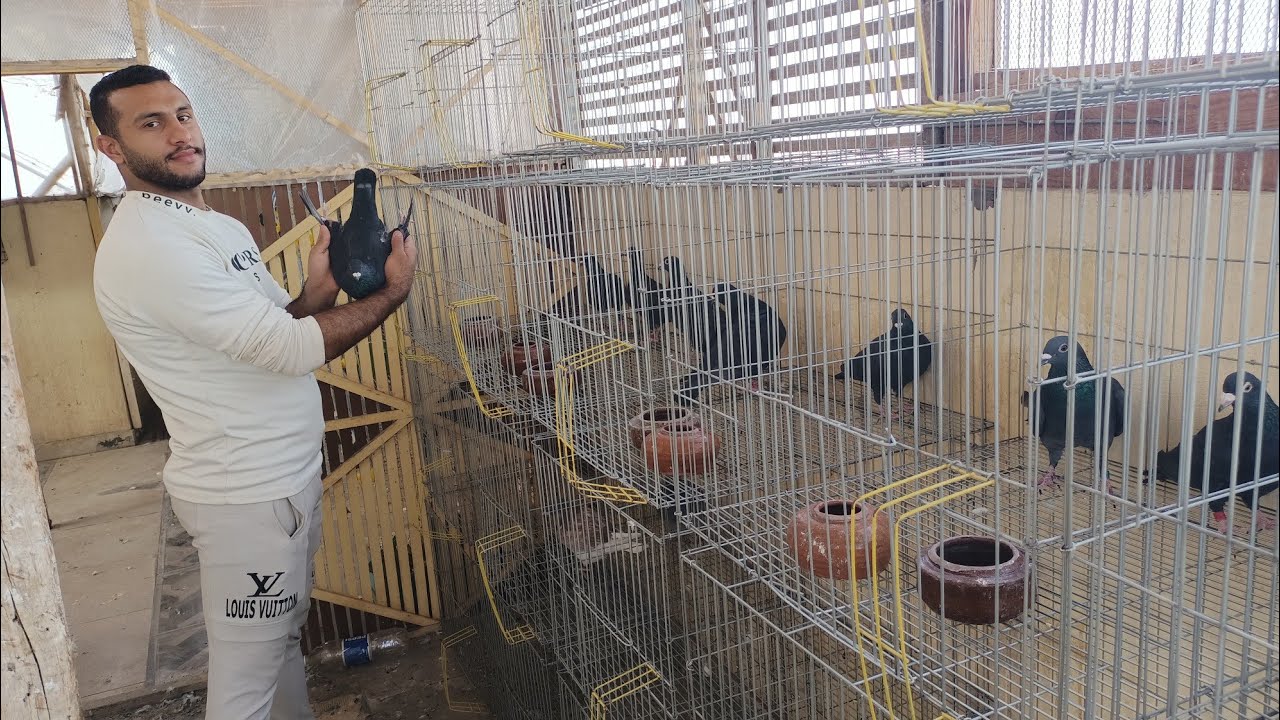 موجود مجموعه 😱 حمام زواجل بلاك مستويات محترمه جدا عند محمد احمد01288565244