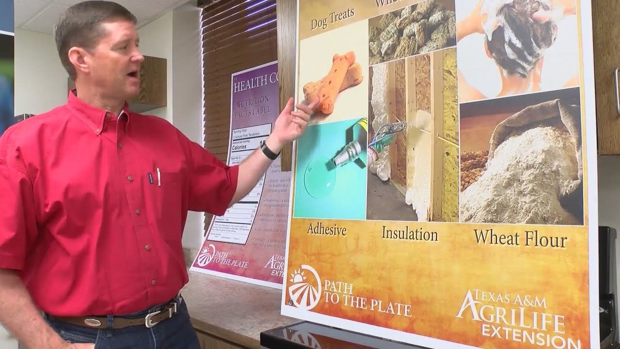 How Many Days Since August 29th 2022 How Many Days Since August 29th 2022