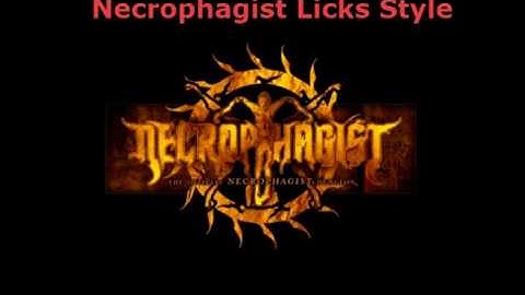 Necrophagist Lick Style Em