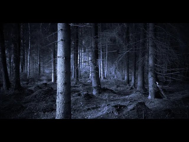 Watch Fako - Too Late on YouTube Watch Fako - Too Late on YouTube