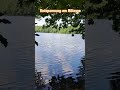 Wanderung um den Bötzsee - Nähe Eggersdorf - Traumhaft schöne Buchten für entspannte Minuten.