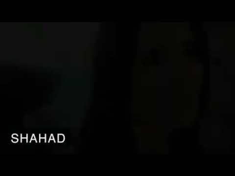 أجمل روعه اغنيه وائل كفوري بدي حنان اعطيني اعطيني حب ونسيني لاتنسو مشركه ع جراس حبايب كلبي