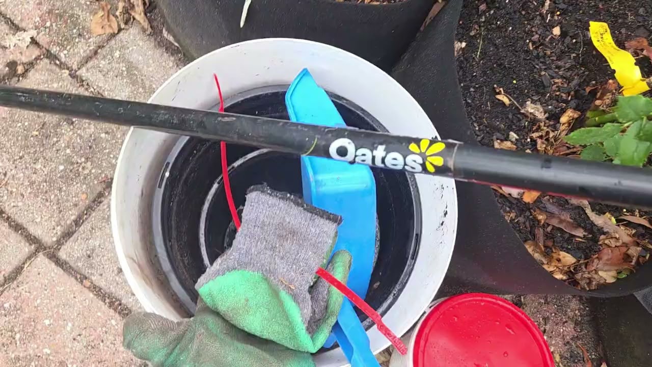 End of summer in the Pollinator Patch (not pretty!)