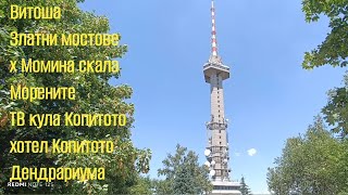 видео: Витоша - Златни мостове - х Момина скала - Морените - ТВ кула Копитото -хотел Копитото - Дендрариума картинка: Витоша - Златни мостове - х Момина скала - Морените - ТВ кула Копитото -хотел Копитото - Дендрариума