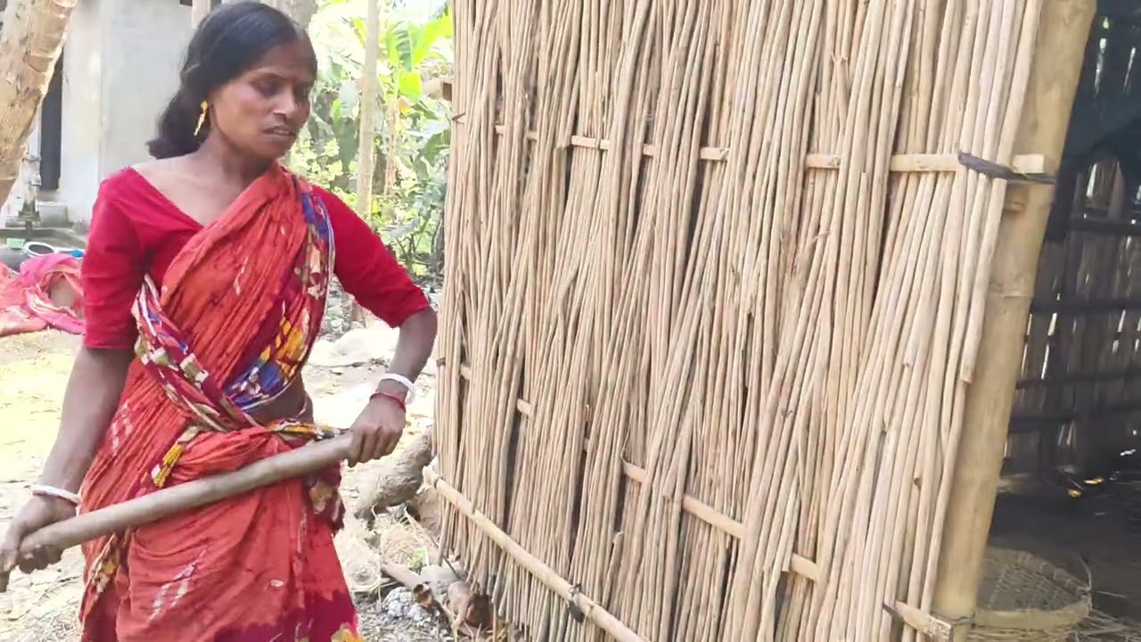 #আমার _মা _গরু _ঘর _পরিষ্কার _করছে