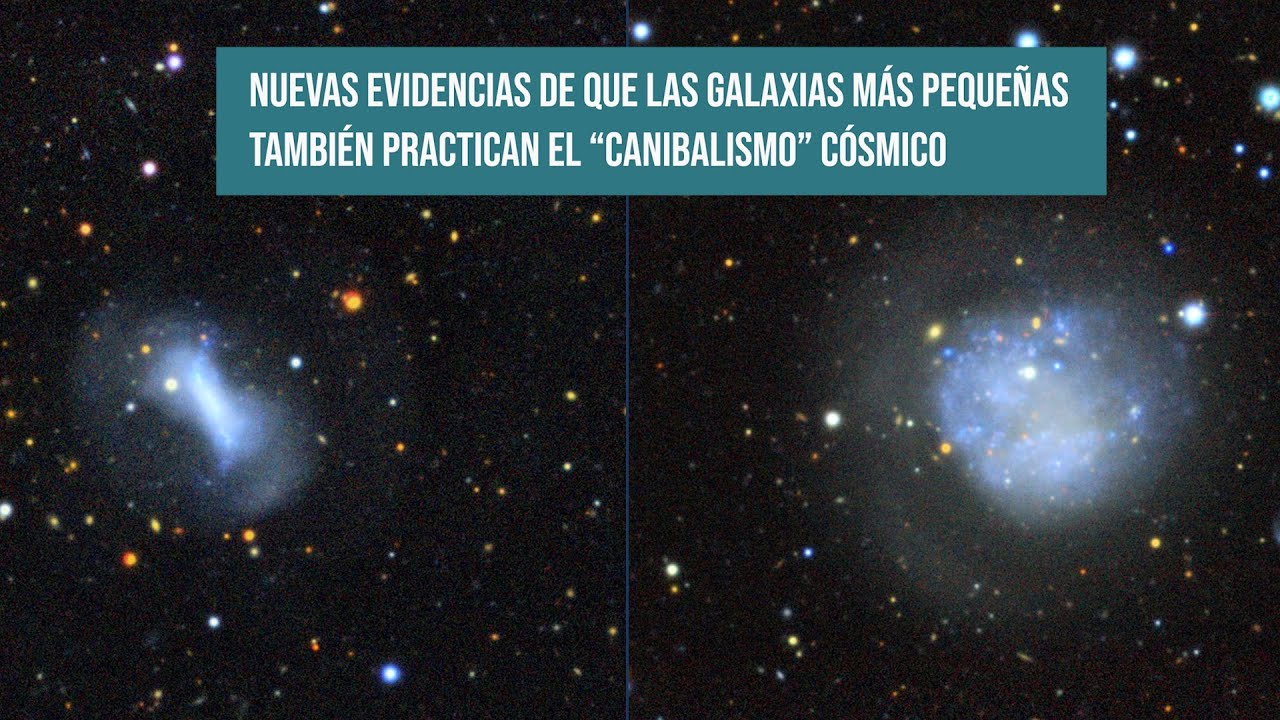 Nuevas evidencias de que las galaxias más pequeñas también practican el “canibalismo” cósmico
