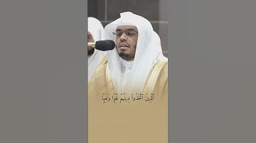 قبس من تلاوة فضيلة الشيخ أ.د ‎#ياسر_الدوسري بـ ‎#المسجد_الحرام ⁧من ليلة 11 ‎رمضان 1445هـ