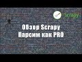 Обзор scrapy: фраемворк для парсинга на python, начни парсить как PRO